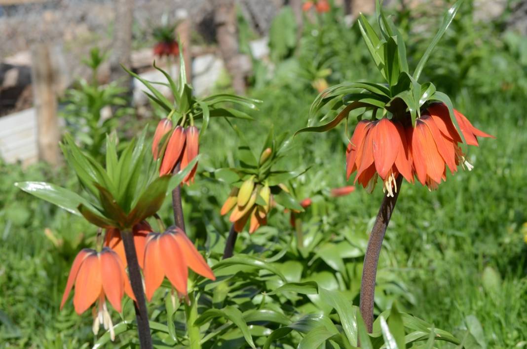 Bu insanlar neye bakıyor? Gece-gündüz nöbet tutuyorlar, ilk kez görenler şaştı kaldı! 51